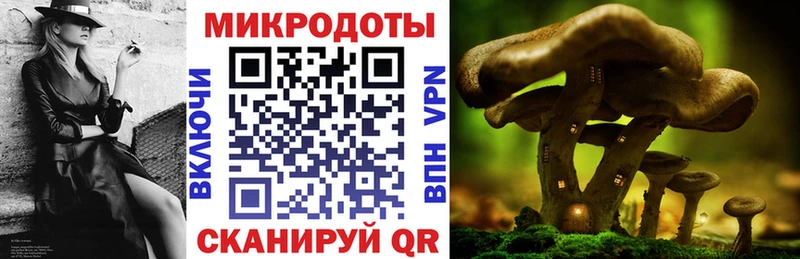 где купить наркоту Ставрополь Псилоцибиновые грибы Magic Shrooms