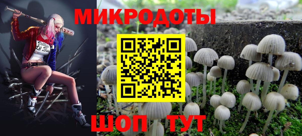 Псилоцибиновые грибы прущие грибы  Вход с VPN  Ставрополь 