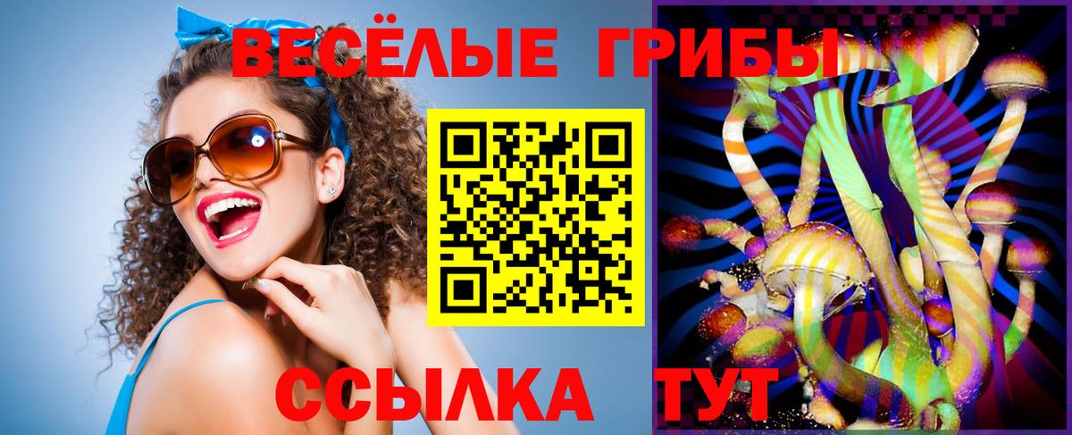 Псилоцибиновые грибы мицелий Ставрополь